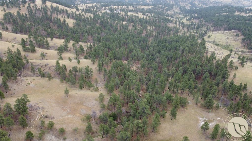 Photo of TBD Pine Crest Road, Columbus, MT 59019 (MLS # 358592)