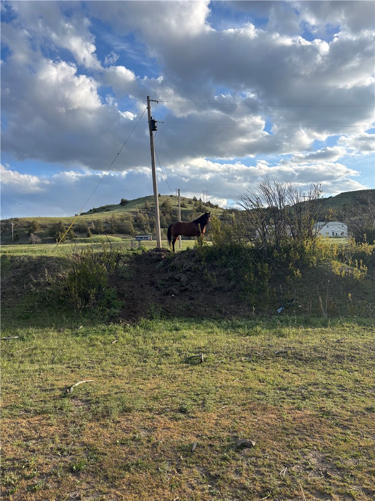 2503 Blue Creek Road