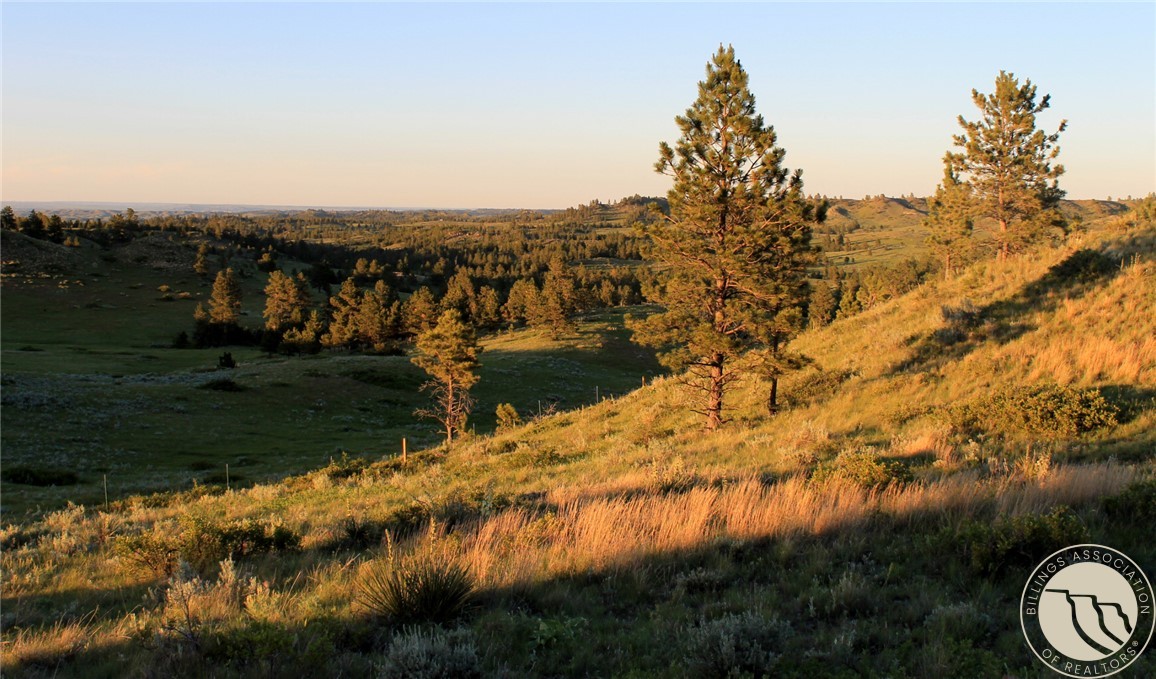 nhn Lone Rock Canyon