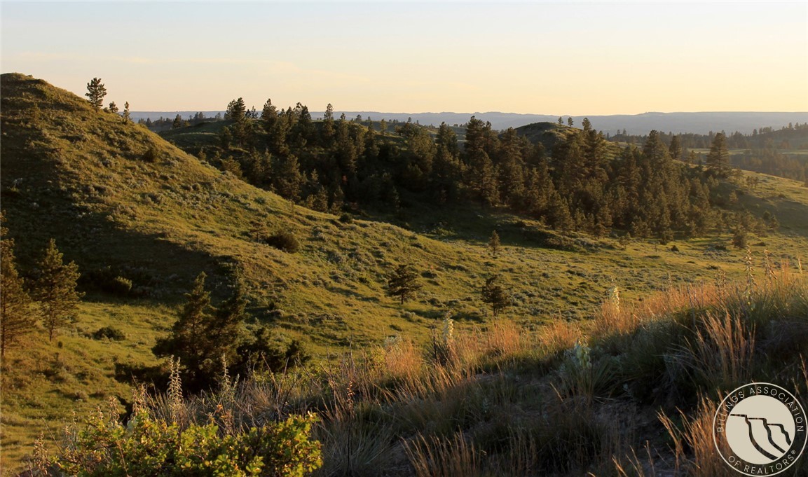 nhn Lone Rock Canyon