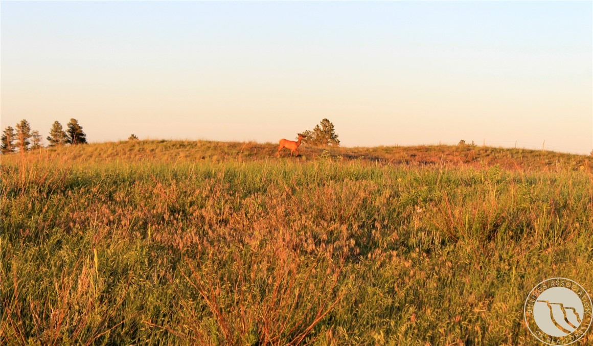 nhn Lone Rock Canyon