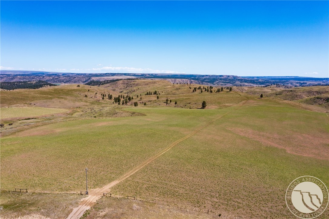 NHN 1677.96 Acres - HWY 421 and Joliet Rd