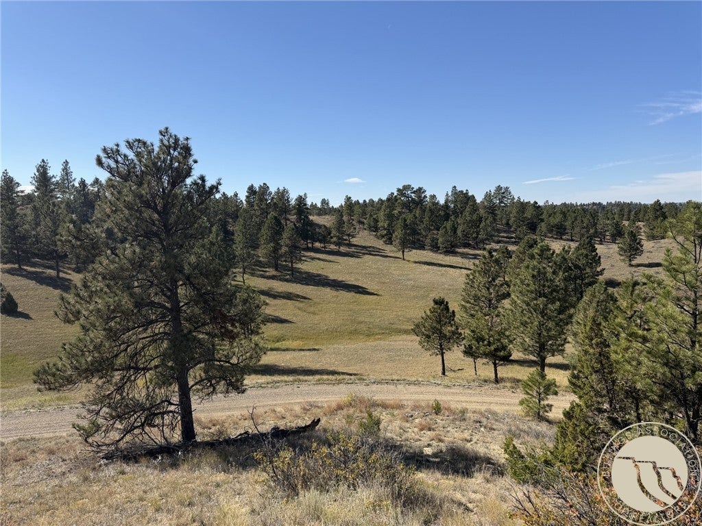 252 Rock Canyon Lane
