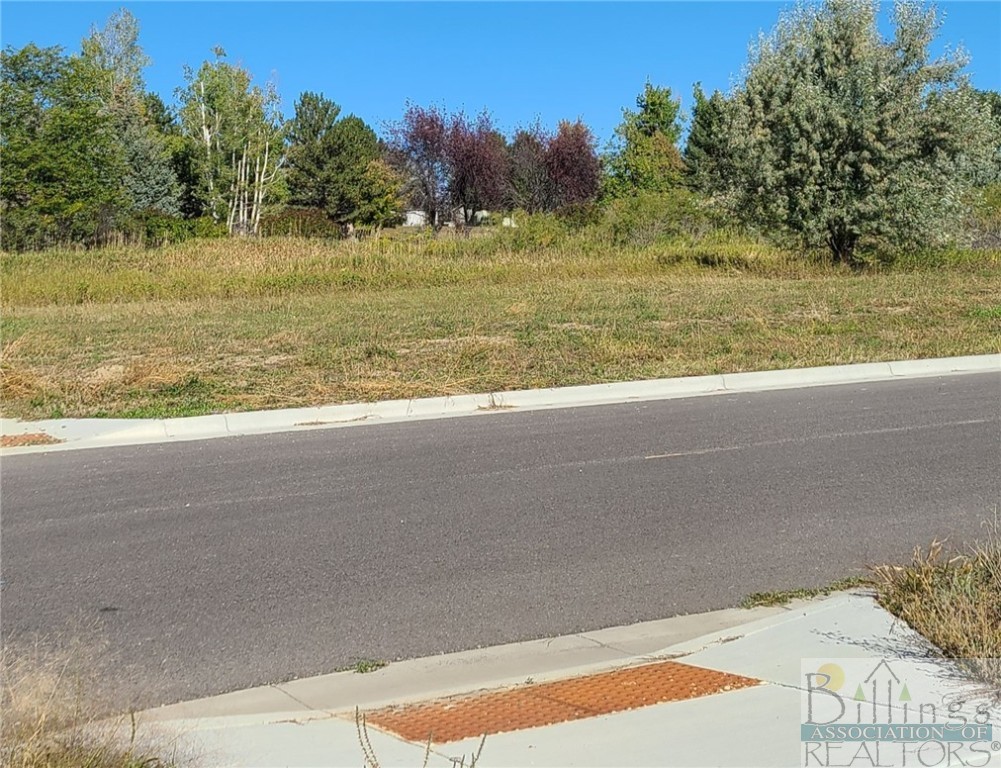 TBD Gayle Block 17, Lot 3 Drive