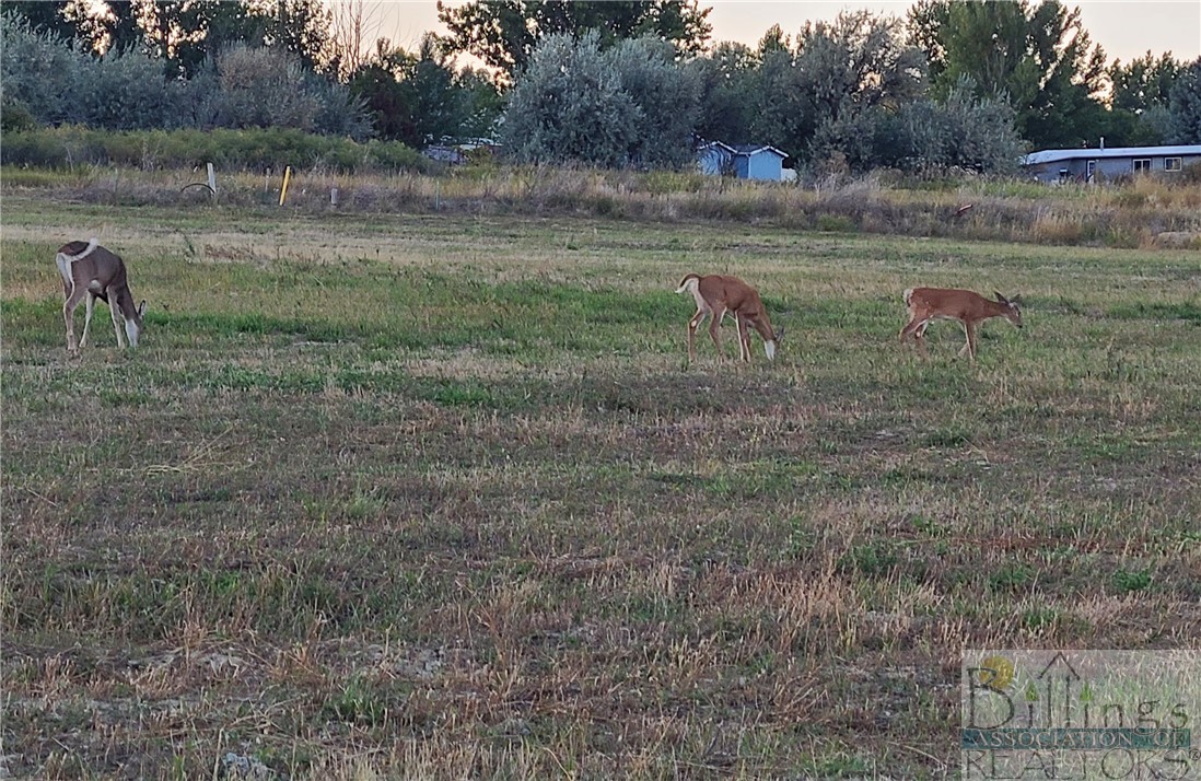 TBD Gayle Block 17, Lot 3 Drive