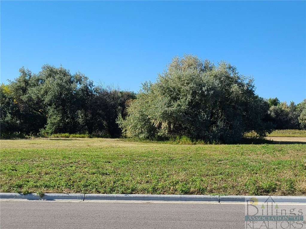 TBD Gayle Block 17, Lot 3 Drive