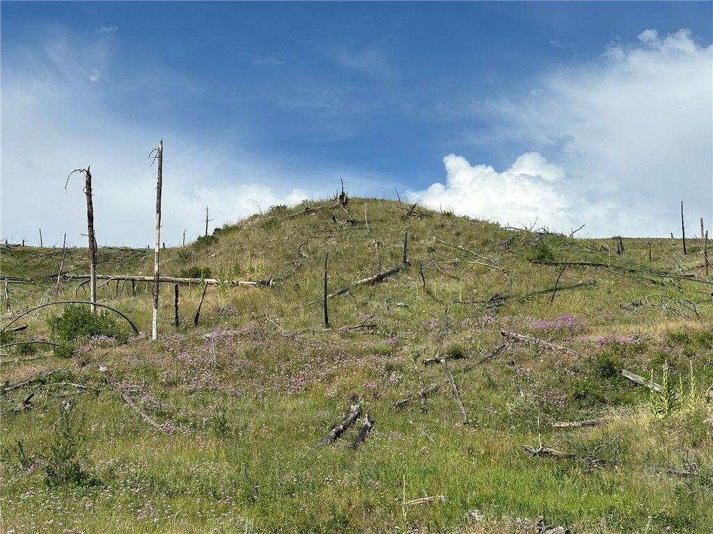 Photo of 118 Buckskin Drive, Roundup, MT 59072 (MLS # 358652)