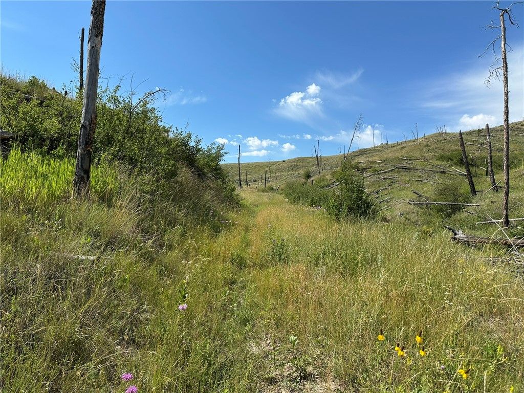 Photo of 118 Buckskin Drive, Roundup, MT 59072 (MLS # 358652)
