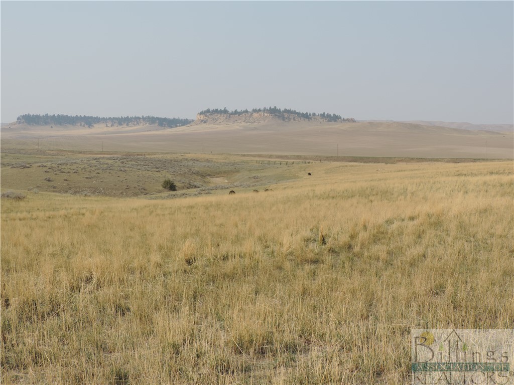 14892 Highway 87