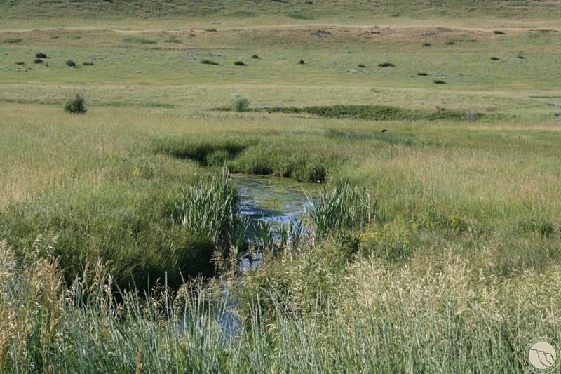 LOT 41 CROW CHILD TRAIL