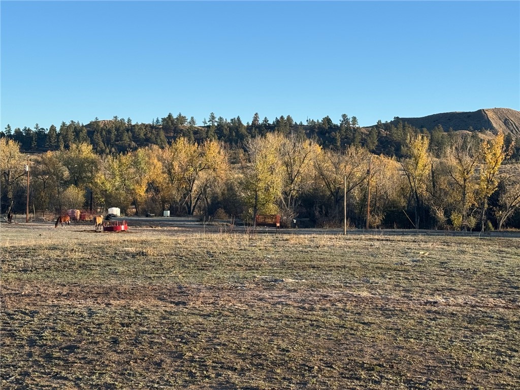 2503 Blue Creek Road