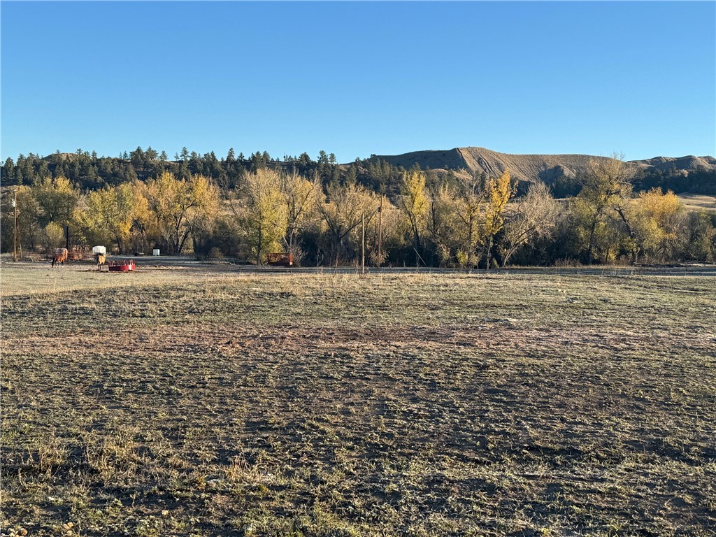 2503 Blue Creek Road