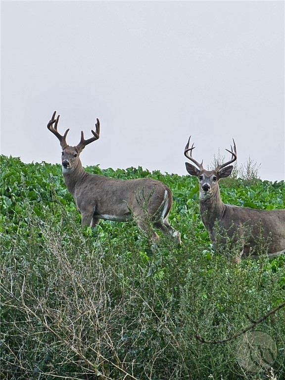 TBD County Rd 147A