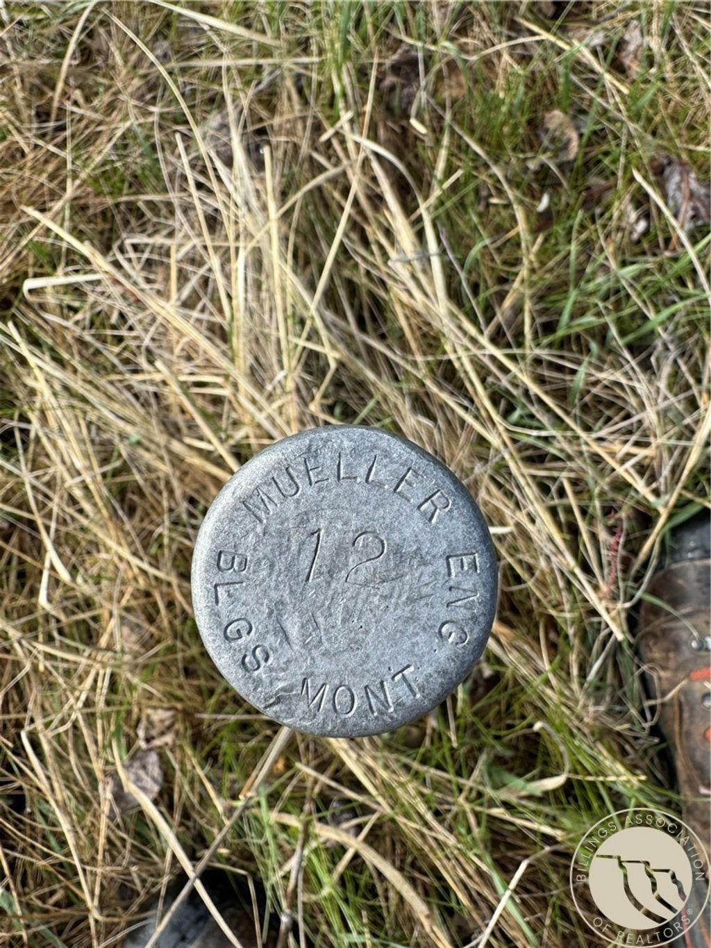 Photo of Lot 12 Elk Park Trail, Nye, MT 59061 (MLS # 358832)