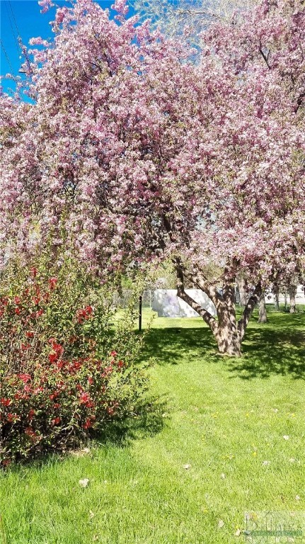 Billings, Montana 59101, United States, 4 Bedrooms Bedrooms, ,2 BathroomsBathrooms,Residential,Contingent,63032