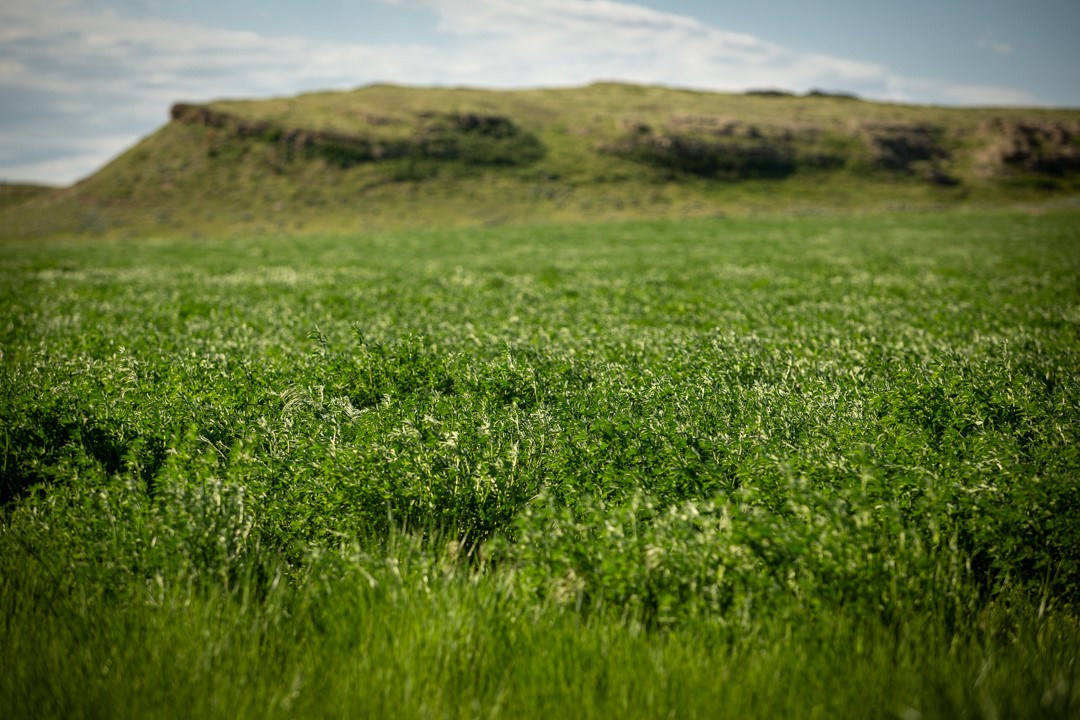 289 Hailstone Basin Road