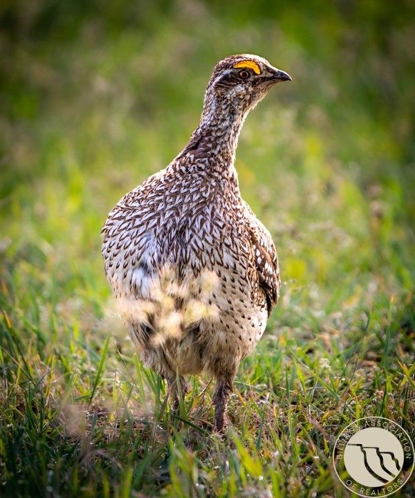 289 Hailstone Basin Road