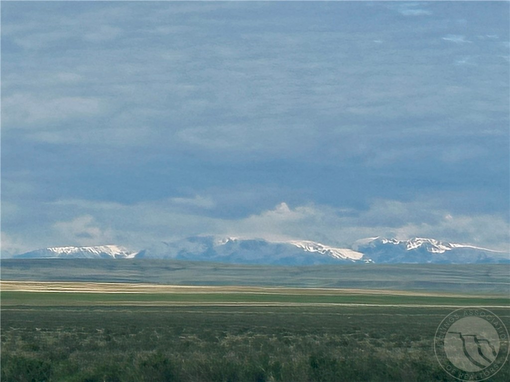 N 320 Acres Molt Rapelje Road