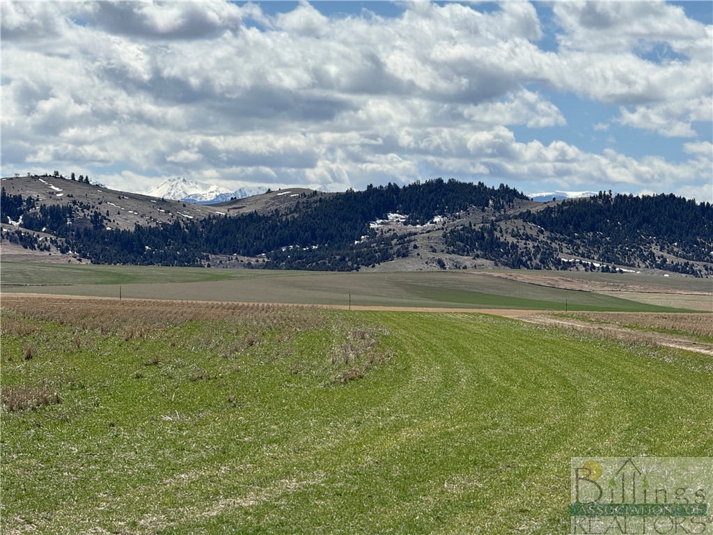 Tract 1A Norris Road