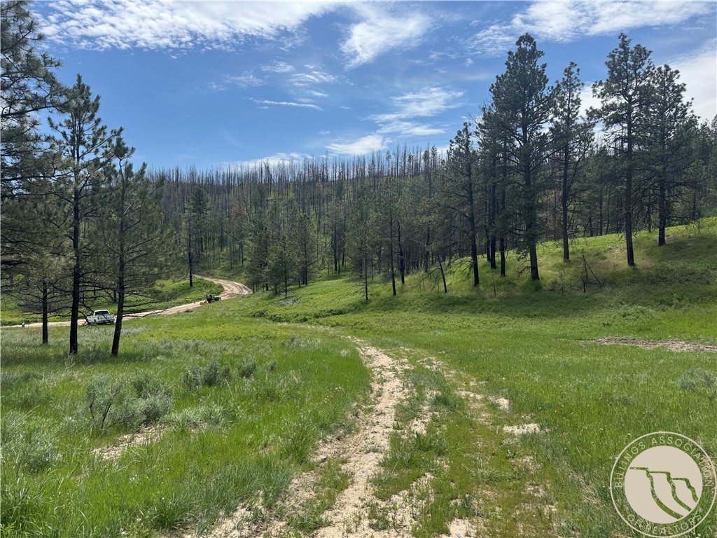 49 Bruner Mountain Road