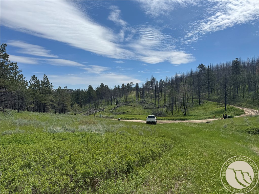49 Bruner Mountain Road