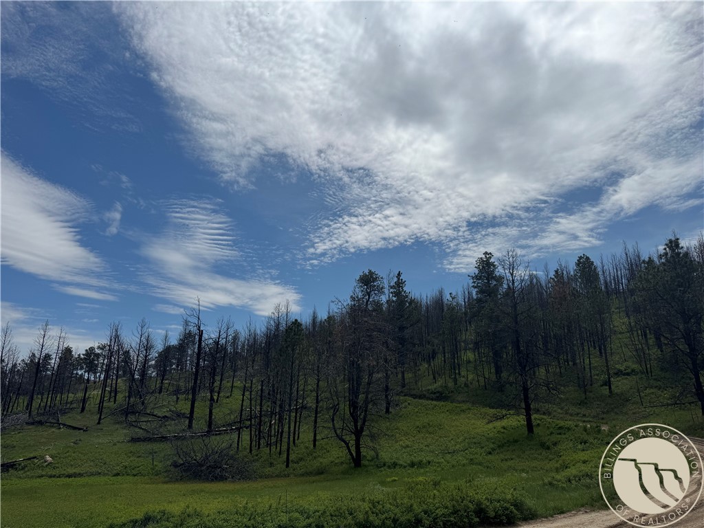 49 Bruner Mountain Road