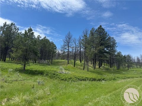 49 Bruner Mountain Road Roundup MT 59072