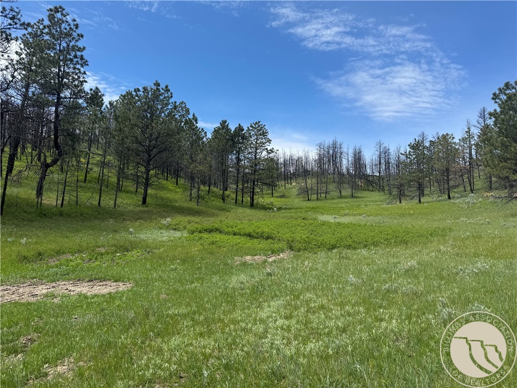 49 Bruner Mountain Road
