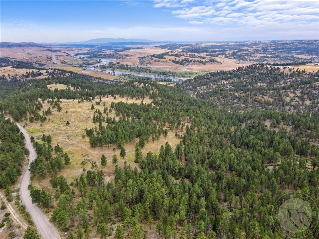 TBD Cougar Trail