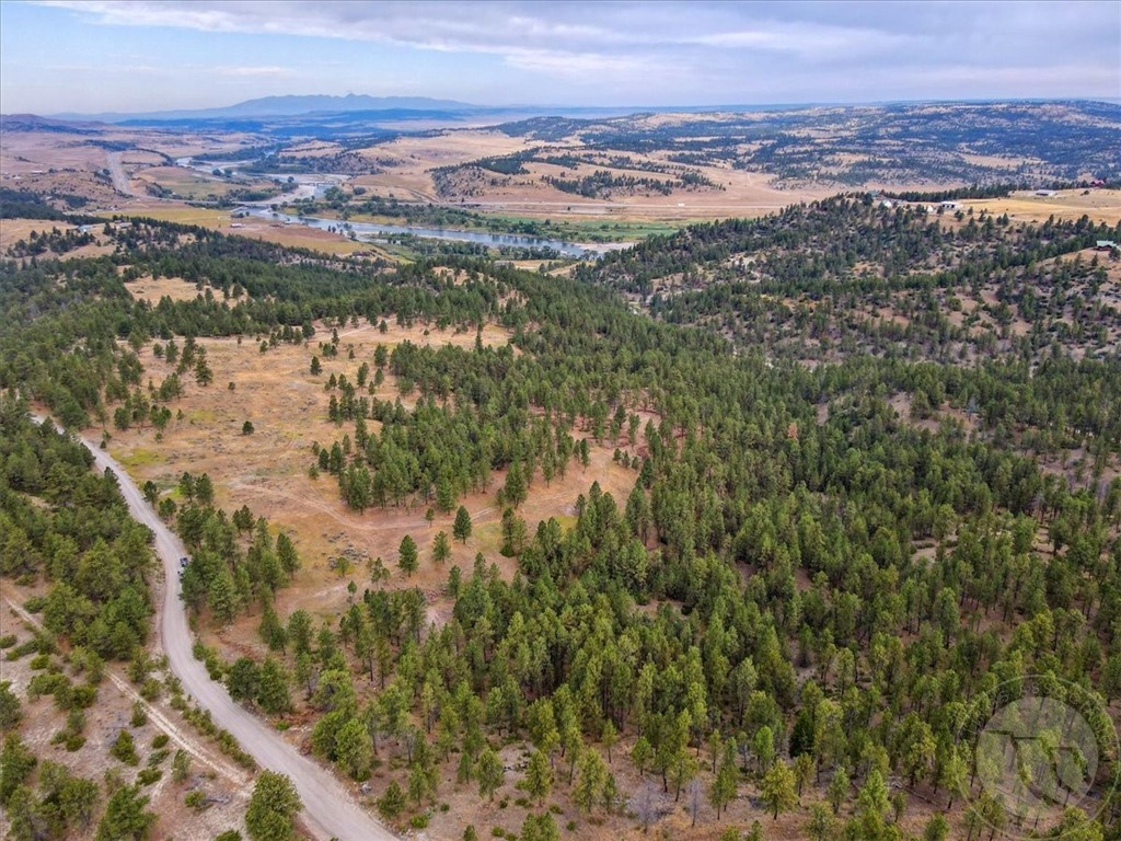 TBD Cougar Trail