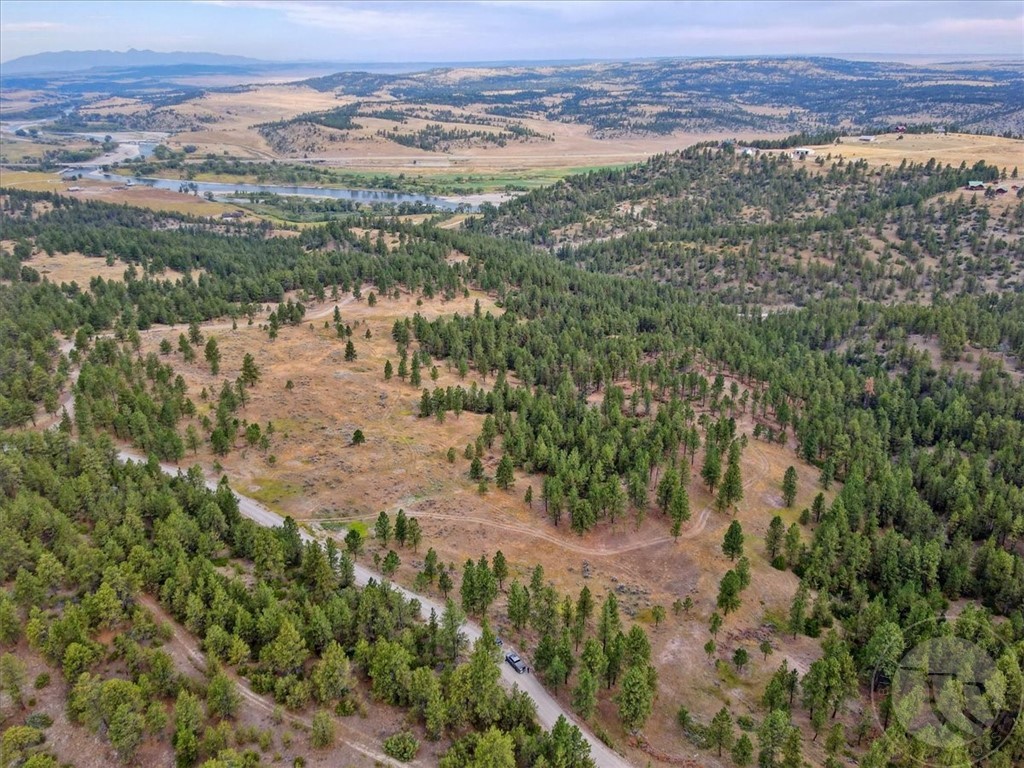 TBD Cougar Trail