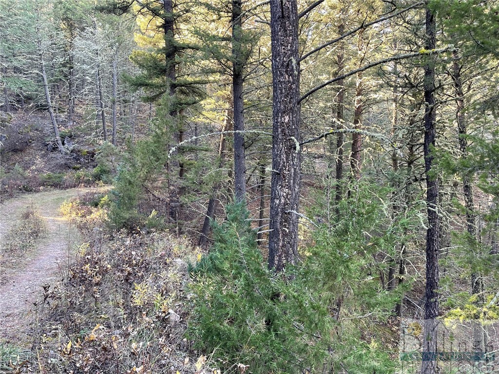 NSN Two Creeks Road