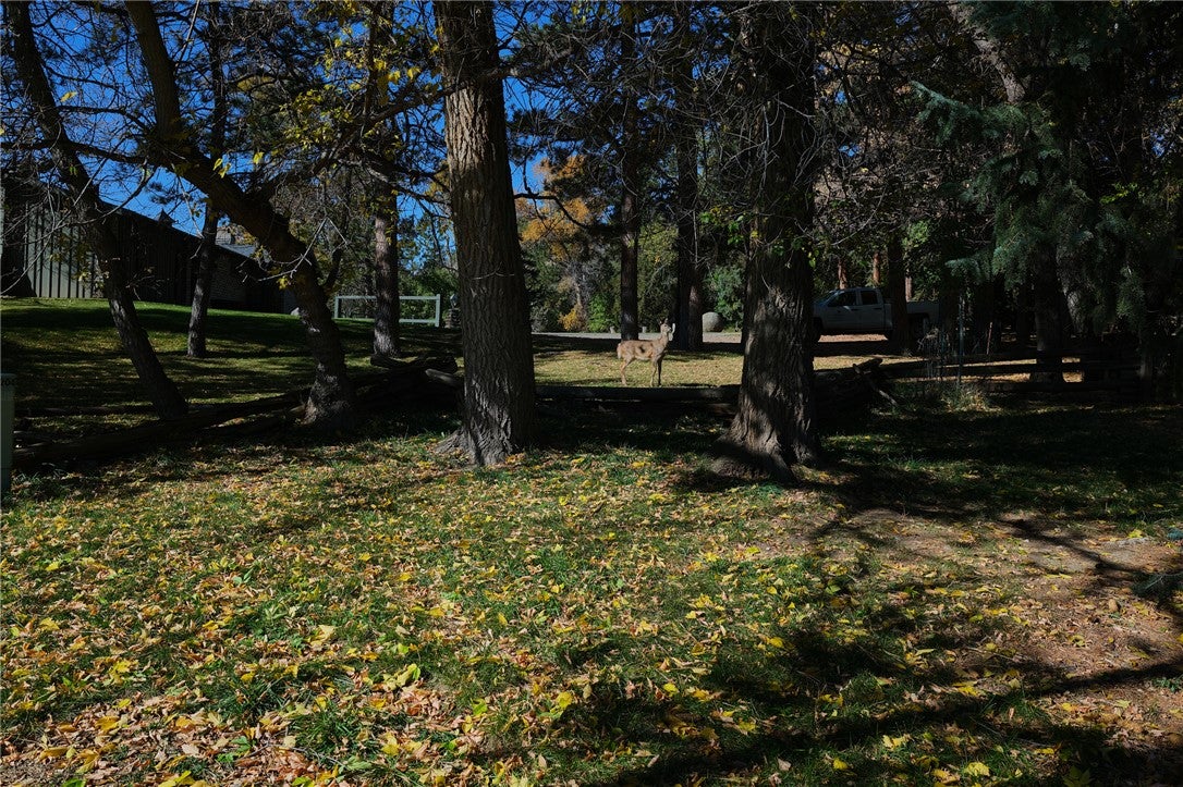 204 Emerald Drive