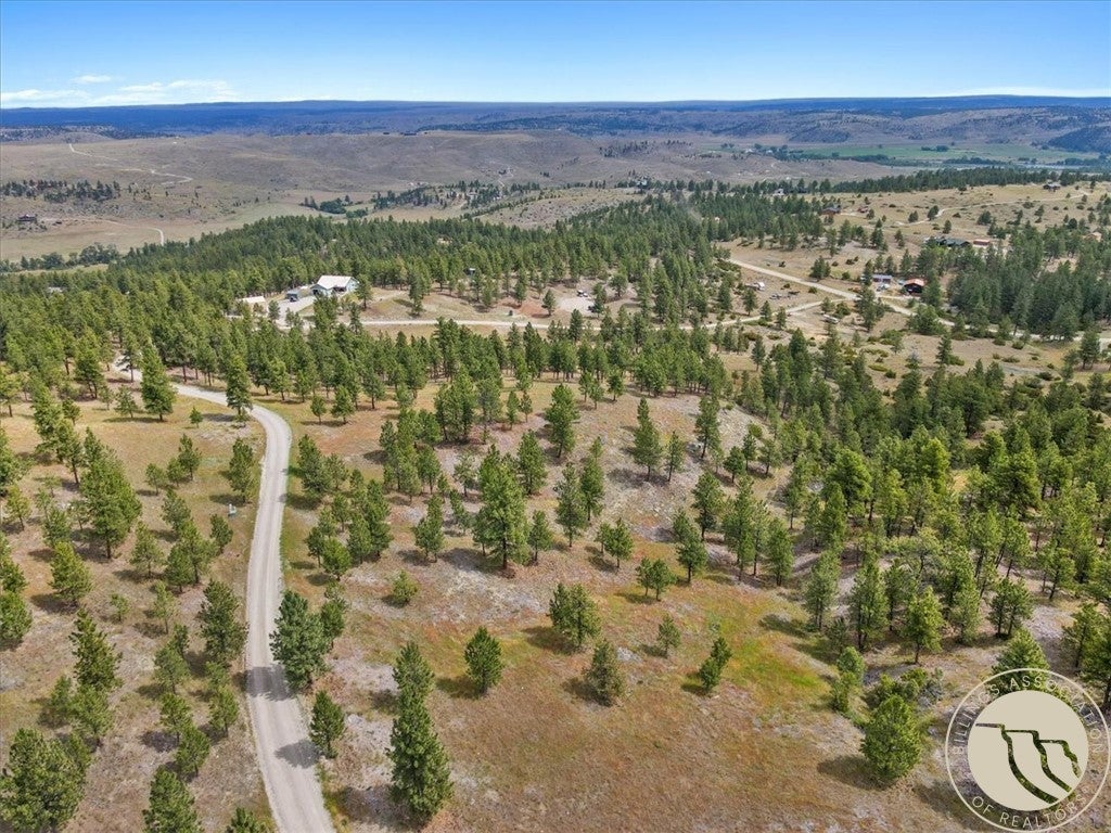 TBD Lewis Trail