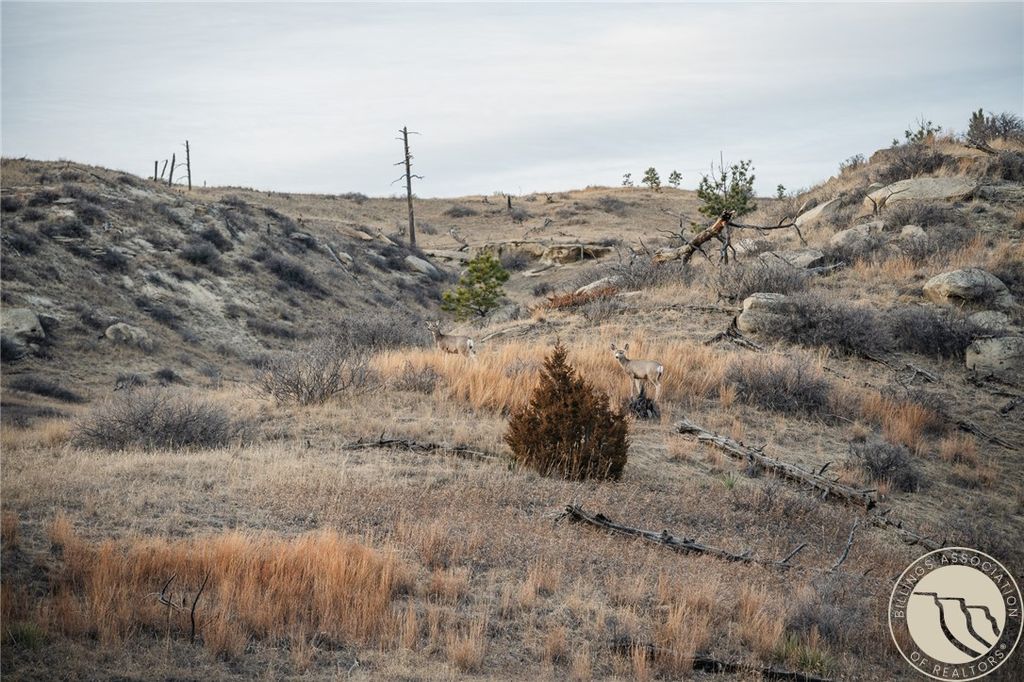 Photo of 70 Rocky Top Road, Roundup, MT 59072 (MLS # 357901)