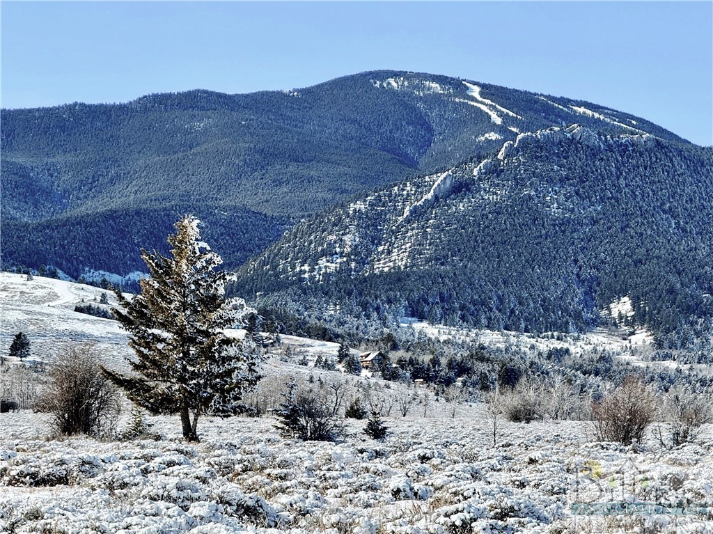 Property: TBD Canyon View Road,Red Lodge, MT
