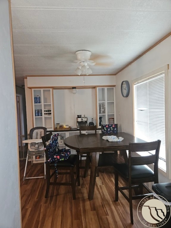 1006 Sunhaven Drive