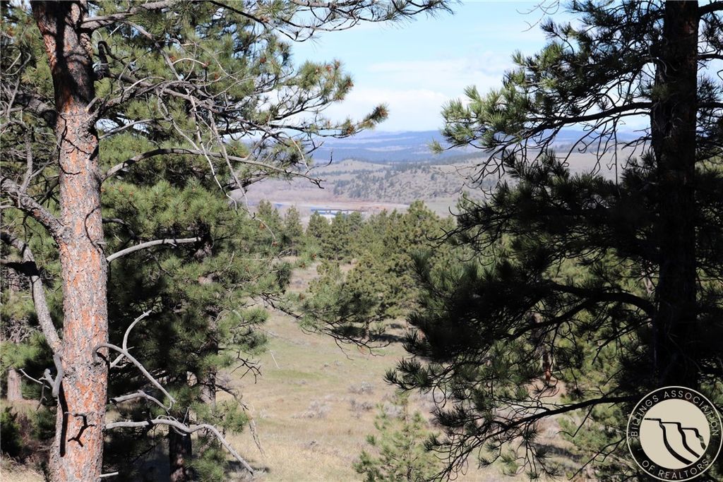 Photo of Lot 155 Cougar Trail, Columbus, MT 59019 (MLS # 358825)
