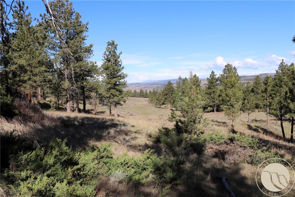 Photo of Lot 155 Cougar Trail, Columbus, MT 59019 (MLS # 358825)