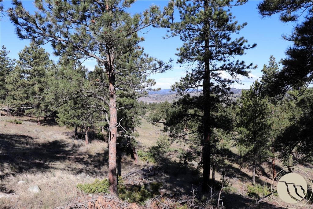 Photo of Lot 155 Cougar Trail, Columbus, MT 59019 (MLS # 358825)