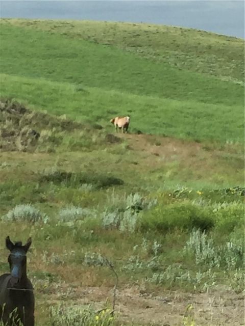 6707 SE Moser Dome Rd Road SE Laurel MT 59044