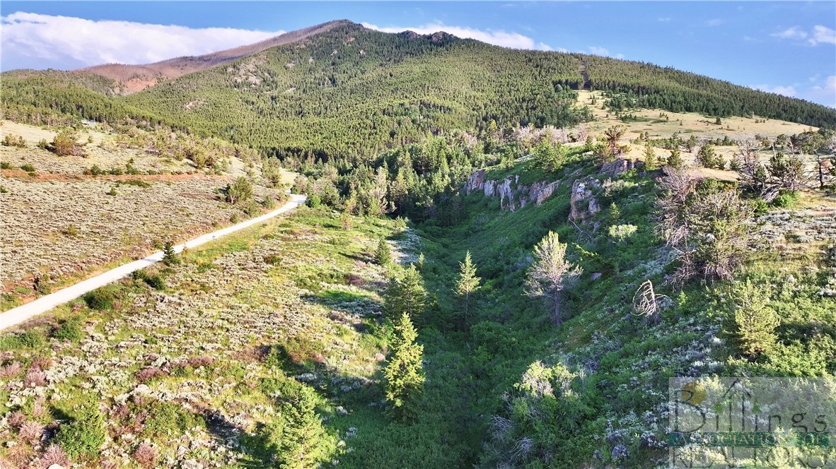 1 Bear Dance Trail