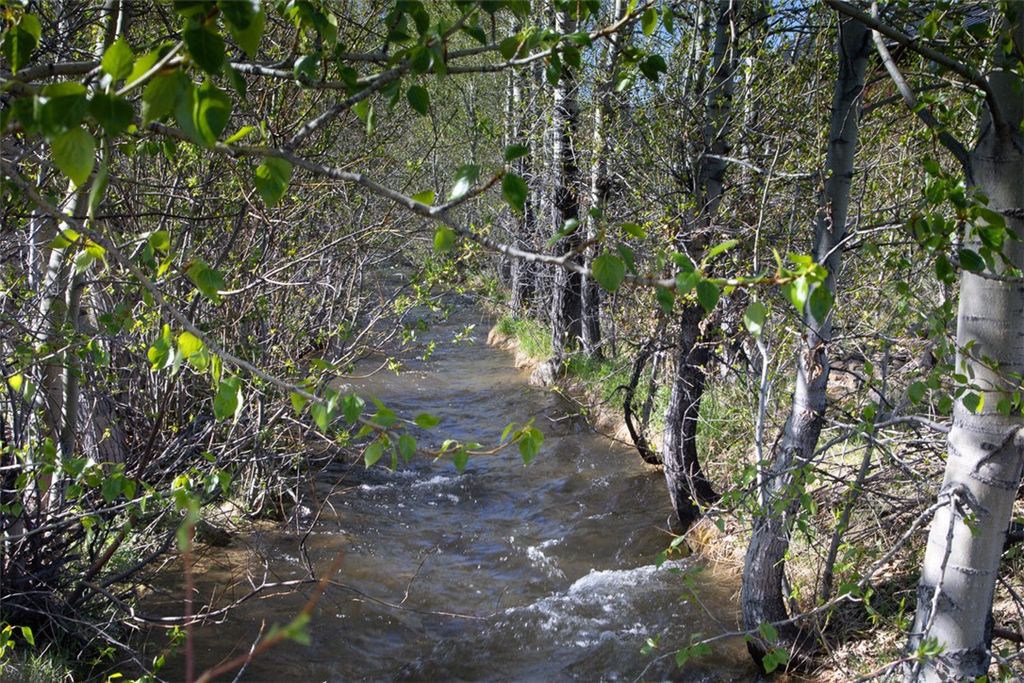 Photo of Lot 4 Bannock Circle CIR, Red Lodge, MT 59068 (MLS # 359335)