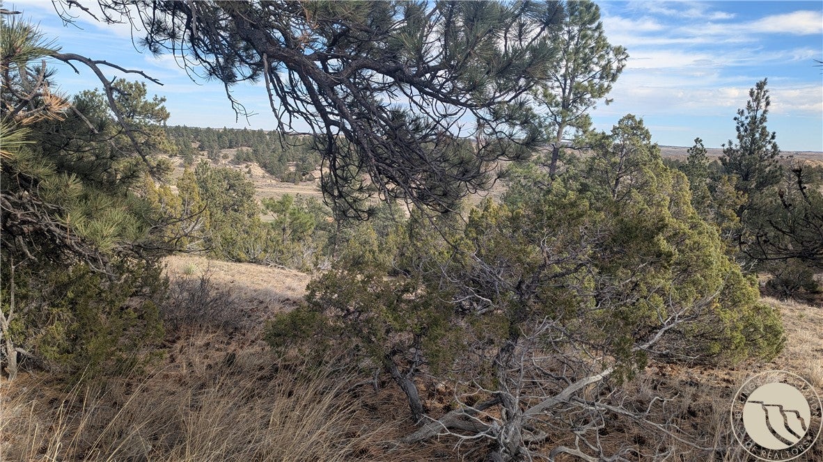 560 N US Highway 87 N