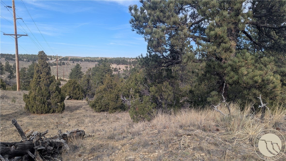 560 N US Highway 87 N