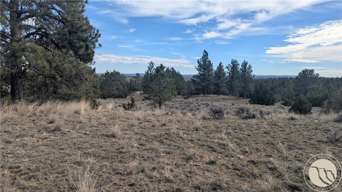 560 N US Highway 87 N