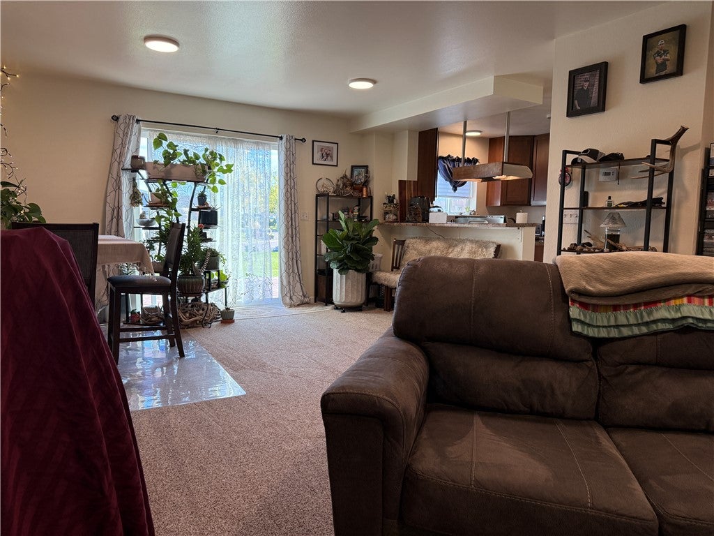 1015 Sheepherder Ln