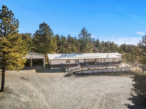1353 Selms Road Bridger MT 59014