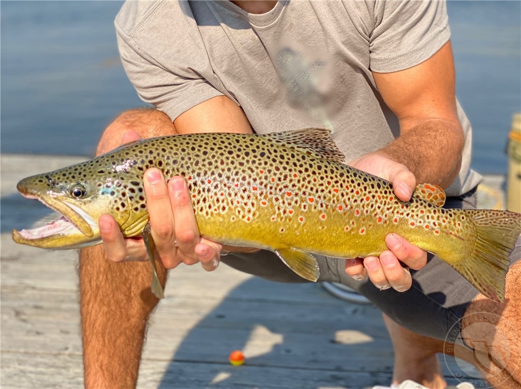 Big Timber, Montana 59033, United States, 4 Bedrooms Bedrooms, ,5 BathroomsBathrooms,Residential,Contingent,19610