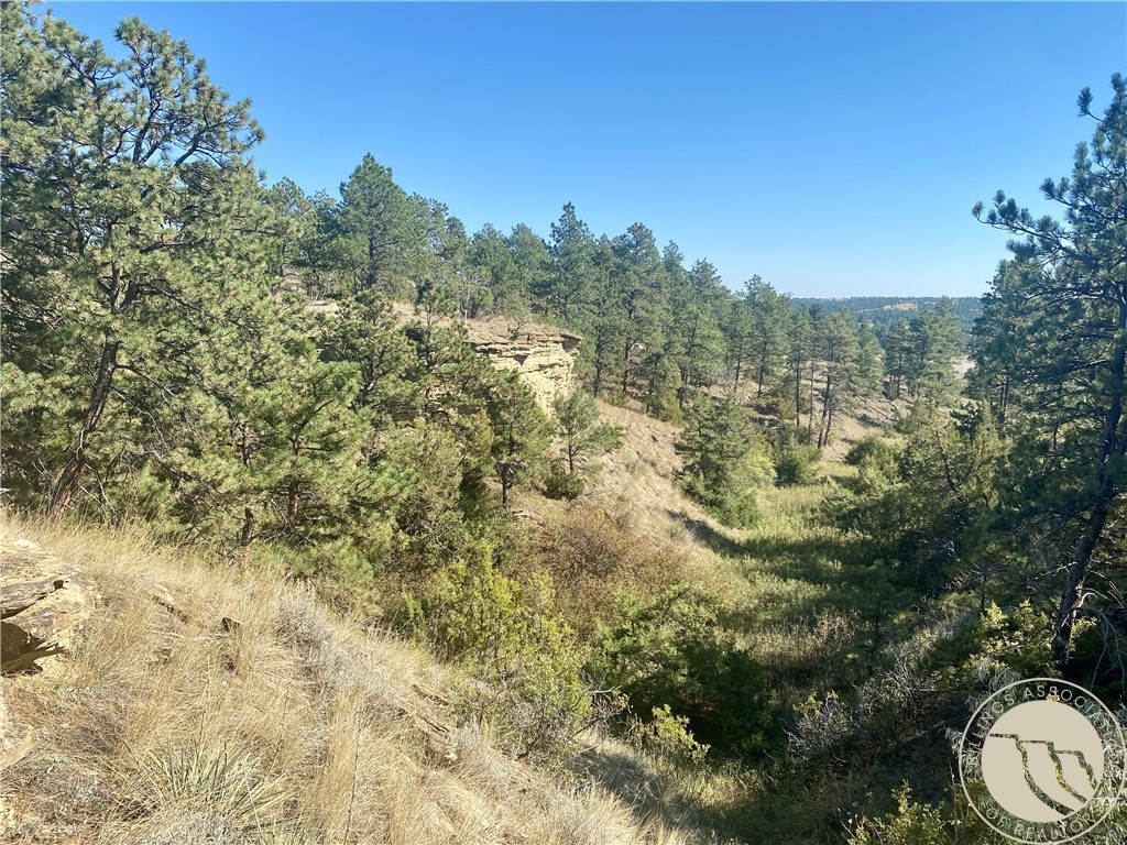 Lot 20A-2 Far and Away Trail